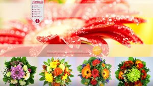 flora_web4